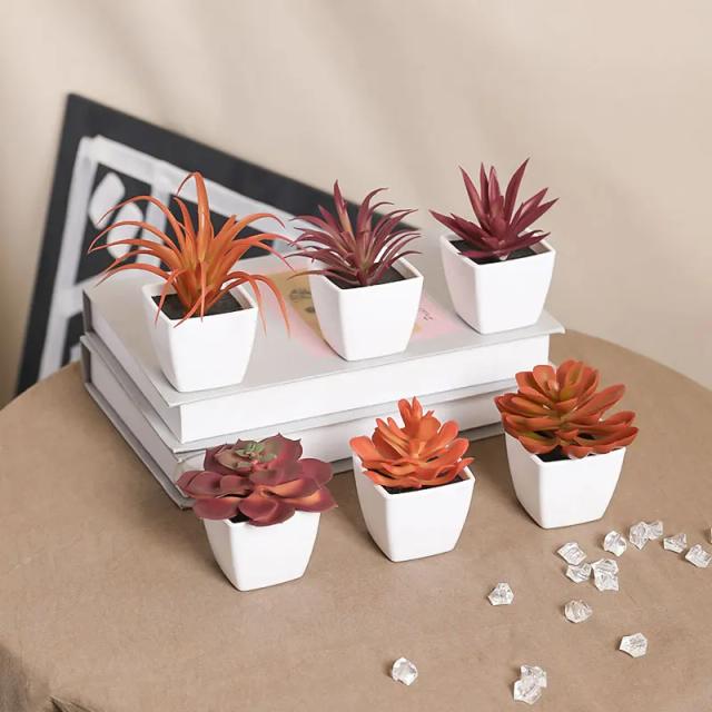 Conjunto 6 Mini Suculentas Artificiais em Vasos Brancos para Decoração de Mesa e Estante