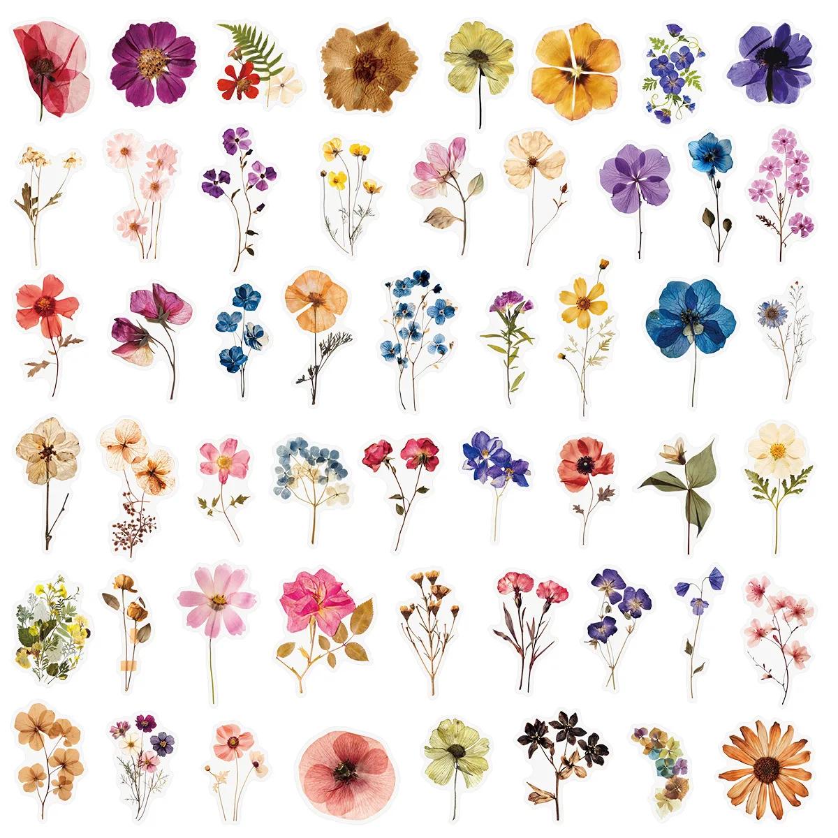 50/200 pçs transparente pet flor planta material adesivos manuais comprimidos telefone copos de água decoração estacionária caderno adesivos - Image 1