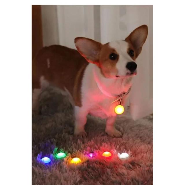 Coleira LED para Cães de Estimação com Pelúcia Confortável