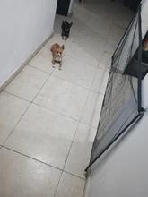 Foto enviada por cliente