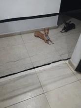Foto enviada por cliente