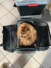 Foto enviada por cliente