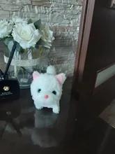 Foto enviada por cliente