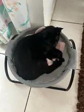 Foto enviada por cliente
