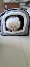 Foto enviada por cliente