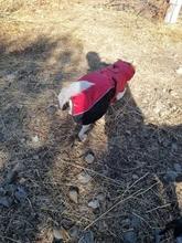 Foto enviada por cliente