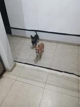 Foto enviada por cliente