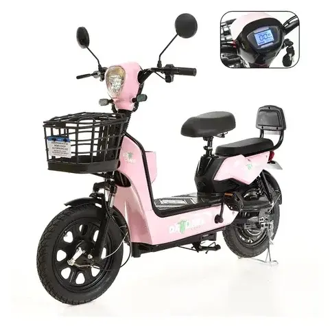 Bicicleta Elétrica Dx Aro 16 800W 48V 20Ah Bateria