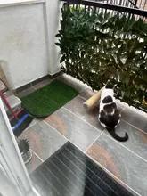 Foto enviada por cliente