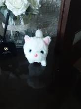 Foto enviada por cliente