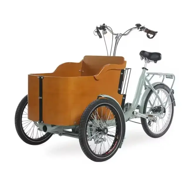 Bicicleta Elétrica Triciclo de Carga Reversa - Potência e Versatilidade