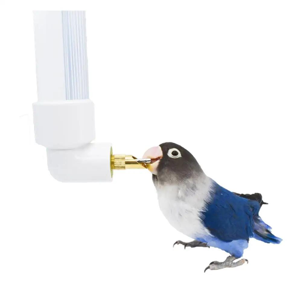 Distribuidor automático de água de papagaio, mamadeira, alimentador de gaiolas, acessórios para chinchilas e coelhos, 130ml - Image 1