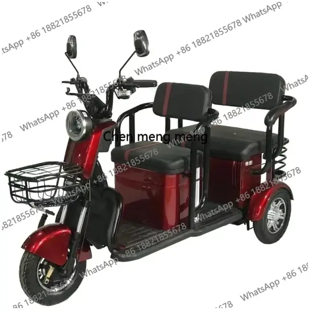 Bicicleta Elétrica de 3 Rodas - Modelo de Fábrica