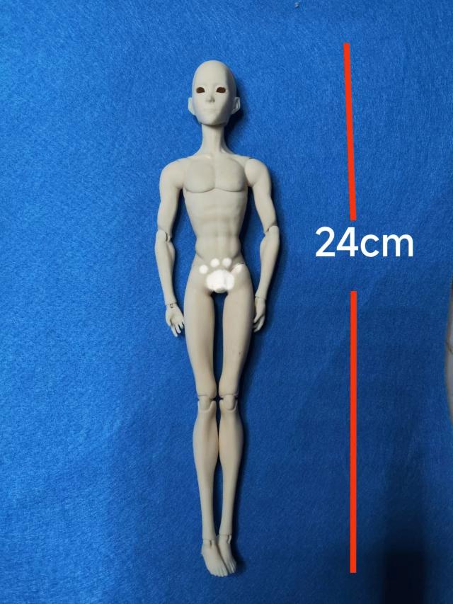 Boneca BJD 24cm Resina Articulada Anime Japonês