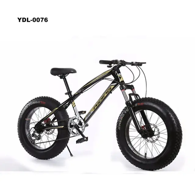 Bicicleta Fat Bike Neve 20" Disco Duplo