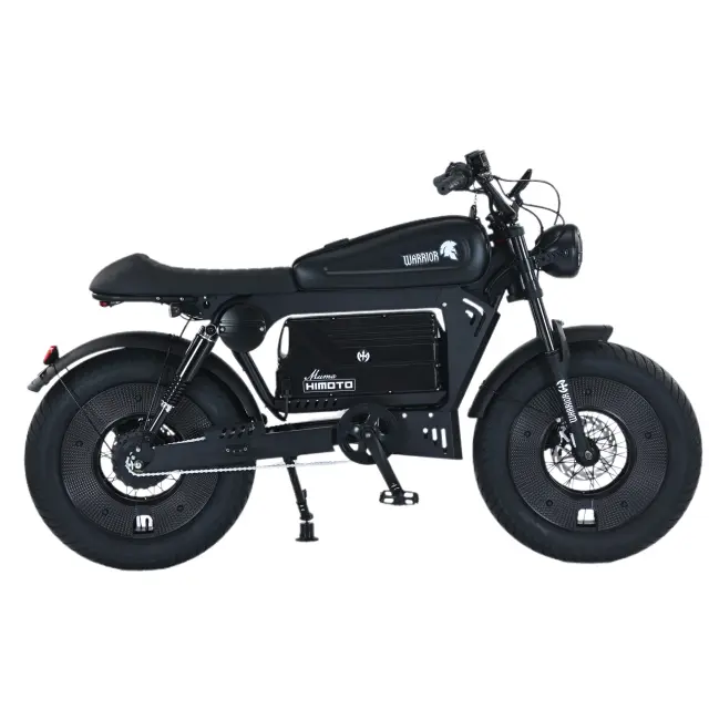 A61 Fashion Bicicleta Elétrica Off-Road 20*5 Polegadas Pneus Largos para Adultos