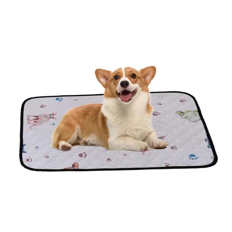 Tapete de treinamento Potty lavável para cachorro, Pet Dog Urine Absorbent Mat, Absorção de urina reutilizável, Tapetes de vedação - Image 1
