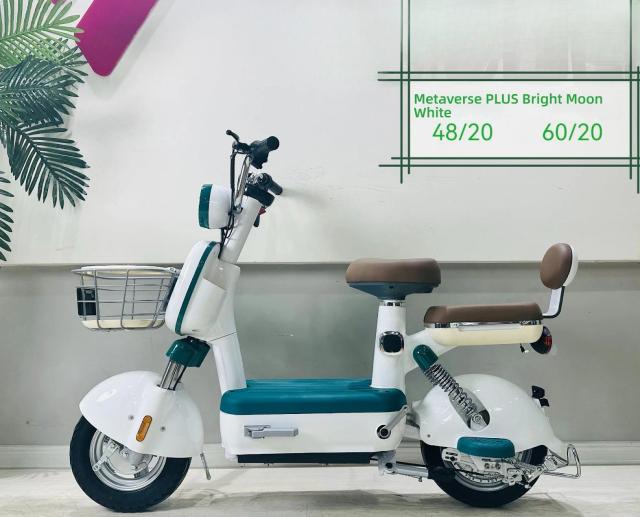 Bicicleta Elétrica de Íon de Lítio para Adultos Leve Liga de Magnésio