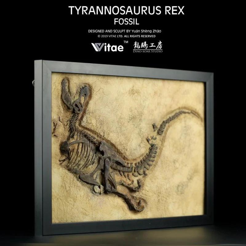 Vitae dinossauro jurássico original coleção fóssil modelo tyrannosaurus rex decoração de parede - Image 1